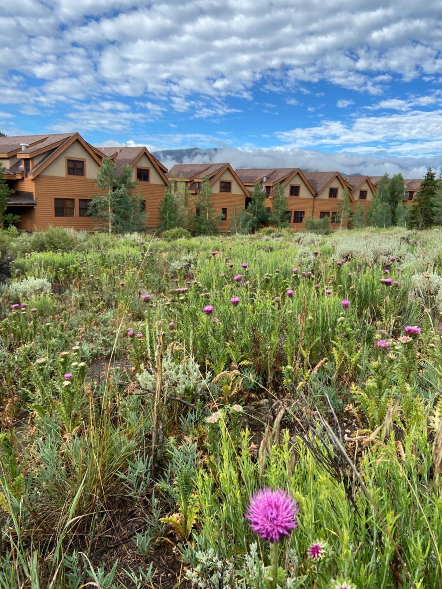 Antlers Gulch 303 By Summitcove Lodging Keystone Luaran gambar
